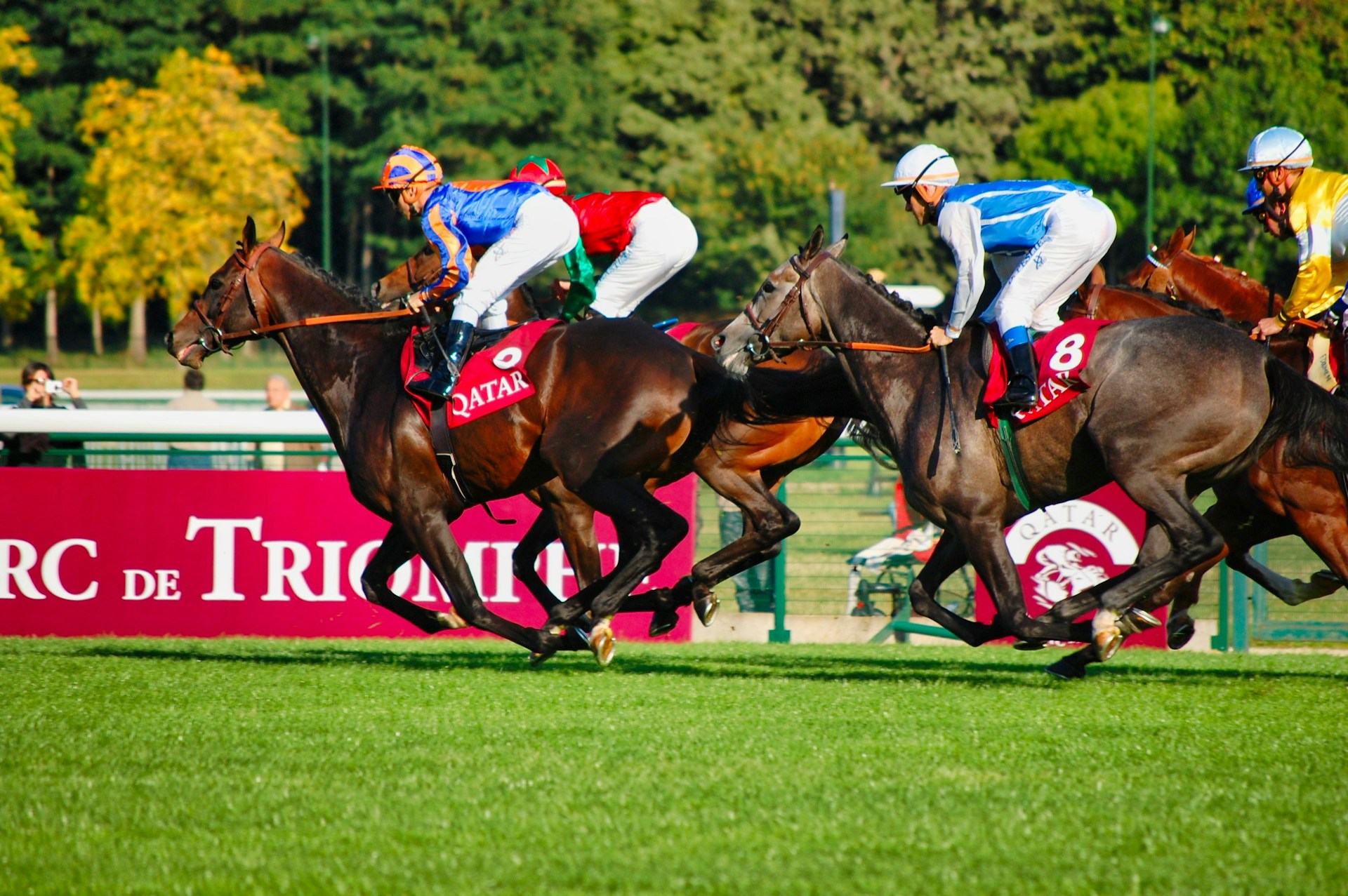 Dubai World Cup 